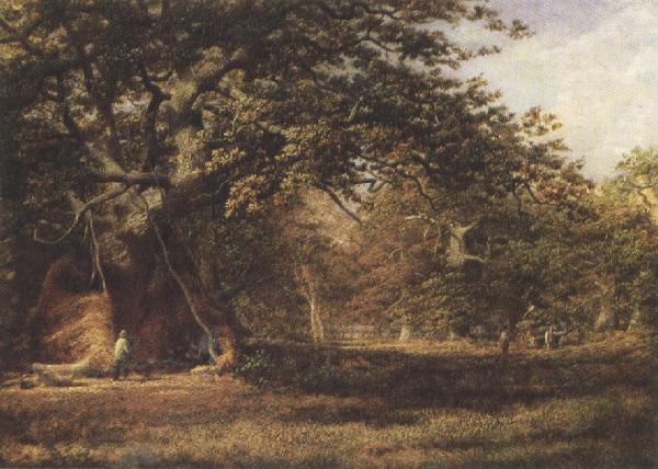 Alfred wilson cox The Woodmans'Bower,Birkland,Sherwood Forest (mk37) France oil painting art